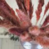 Fluffy Pampasgras rosa Bund