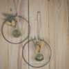 Hoop / Loop Mini mit Trockenblumen und Mini Vase 2er Set