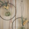 Hoop / Loop Mini mit Trockenblumen und Mini Vase 2er Set