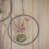 Hoop / Loop Mini mit Trockenblumen und Mini Vase 2er Set rosa