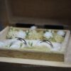 Ringkästchen, Ringbox Mangoholz
