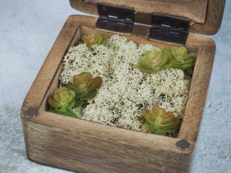 Ringkissen / Ringkästchen / Ringbox Mangoholz