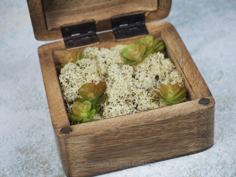 Ringkissen / Ringkästchen / Ringbox Mangoholz