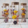 Trockenblumen gefüllte Gläser 3 er Set gelb rot orange
