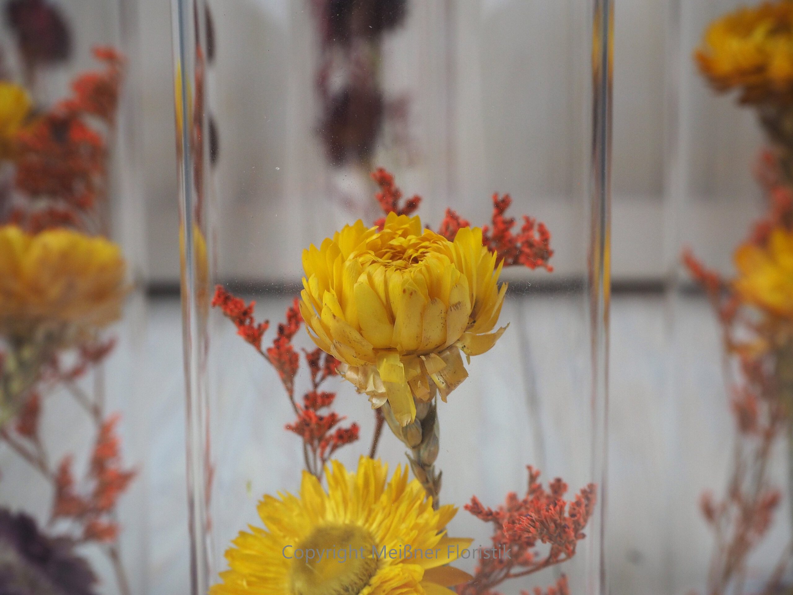 Trockenblumen gefüllte Gläser 3 er Set gelb rot orange