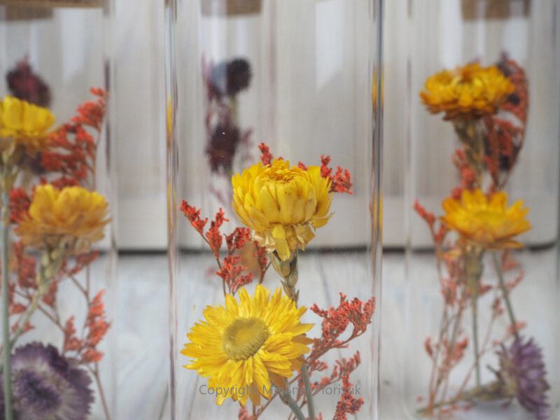 Trockenblumen gefüllte Gläser 3 er Set gelb rot orange
