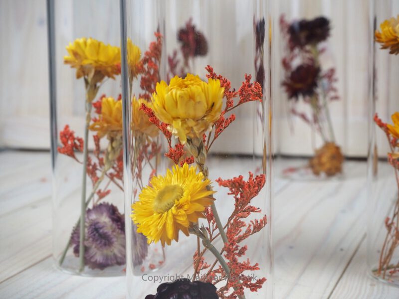 Trockenblumen gefüllte Gläser 3 er Set gelb rot orange