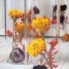 Trockenblumen gefüllte Gläser 3 er Set gelb rot orange