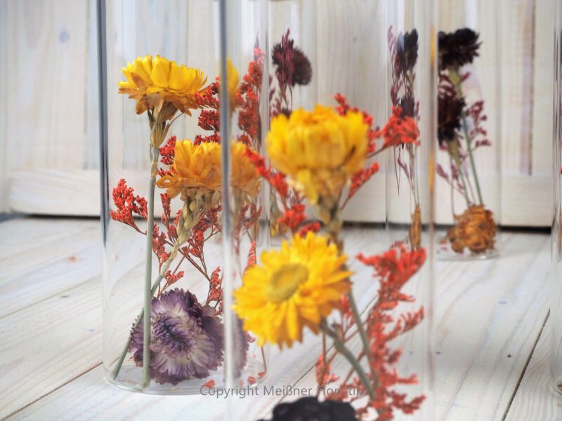 Trockenblumen gefüllte Gläser 3 er Set gelb rot orange