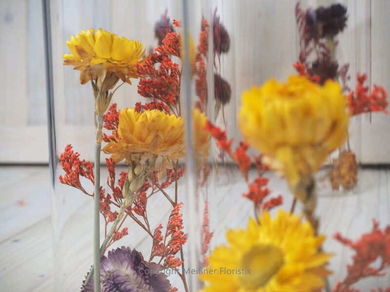 Trockenblumen gefüllte Gläser 3 er Set gelb rot orange