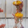 Trockenblumen gefüllte Gläser 3 er Set gelb rot orange