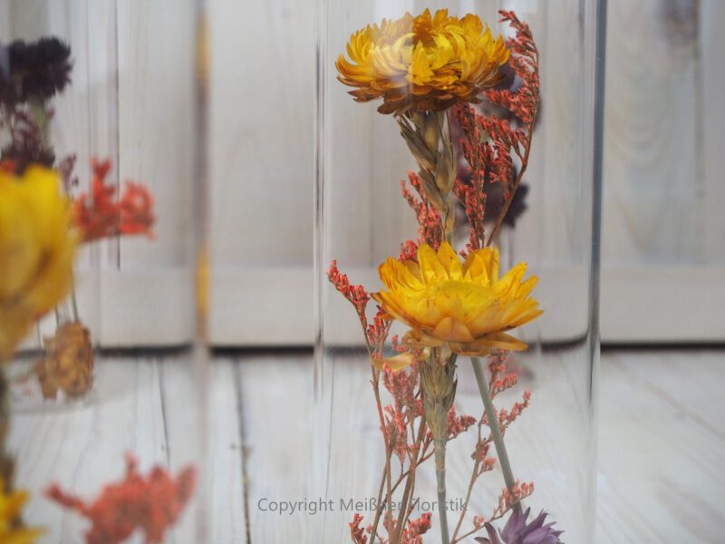 Trockenblumen gefüllte Gläser 3 er Set gelb rot orange