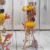 Trockenblumen gefüllte Gläser 3 er Set gelb rot orange