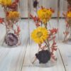 Trockenblumen gefüllte Gläser 3 er Set gelb rot orange