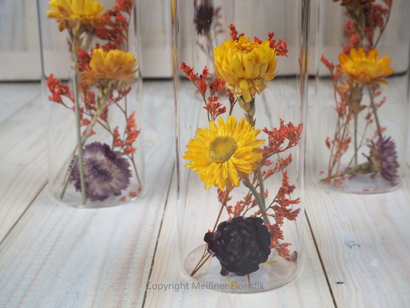 Trockenblumen gefüllte Gläser 3 er Set gelb rot orange