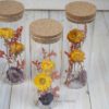 Trockenblumen gefüllte Gläser 3 er Set gelb rot orange