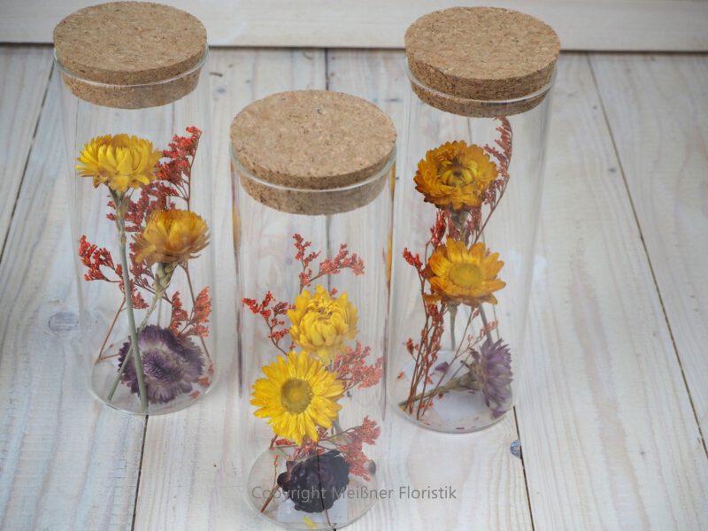 Trockenblumen gefüllte Gläser 3 er Set gelb rot orange