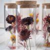 Trockenblumen gefüllte Gläser 3 er Set rot gelb Trockenblumen gefüllte Gläser 3 er Set rot gelb