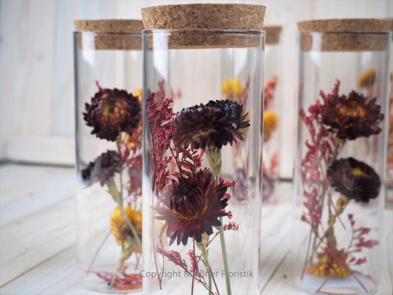 Trockenblumen gefüllte Gläser 3 er Set rot gelb Trockenblumen gefüllte Gläser 3 er Set rot gelb
