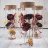 Trockenblumen gefüllte Gläser 3 er Set rot gelb Trockenblumen gefüllte Gläser 3 er Set rot gelb