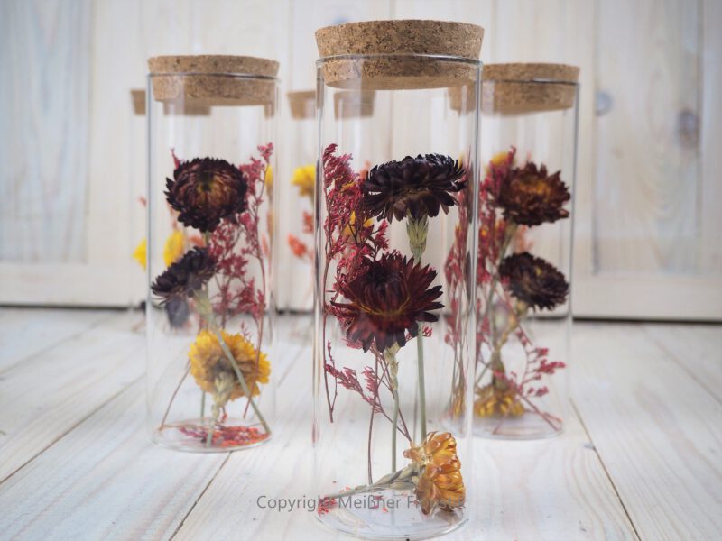Trockenblumen gefüllte Gläser 3 er Set rot gelb Trockenblumen gefüllte Gläser 3 er Set rot gelb