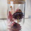 Trockenblumen gefüllte Gläser 3 er Set rot gelb Trockenblumen gefüllte Gläser 3 er Set rot gelb