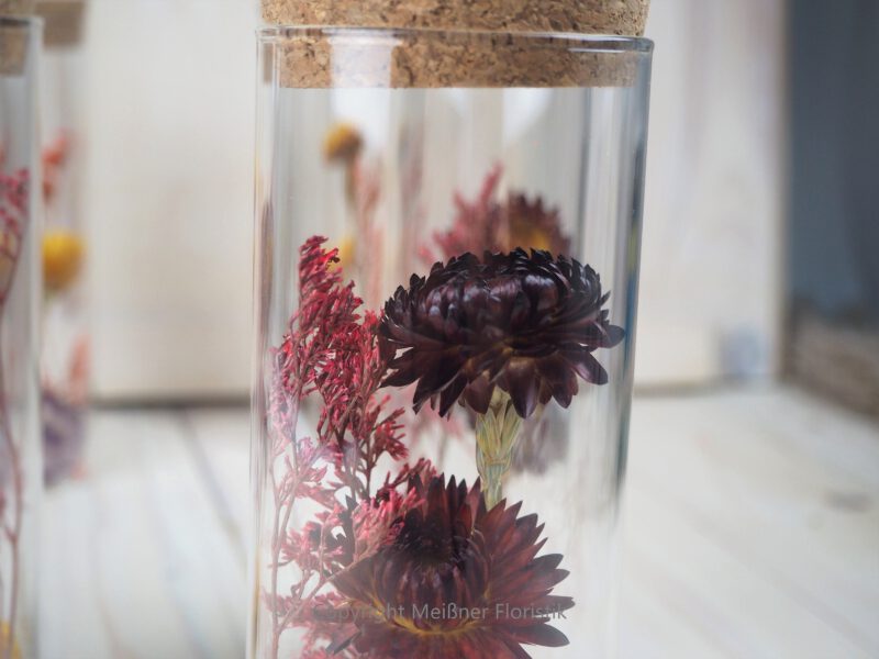 Trockenblumen gefüllte Gläser 3 er Set rot gelb Trockenblumen gefüllte Gläser 3 er Set rot gelb