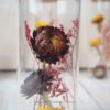 Trockenblumen gefüllte Gläser 3 er Set rot gelb Trockenblumen gefüllte Gläser 3 er Set rot gelb
