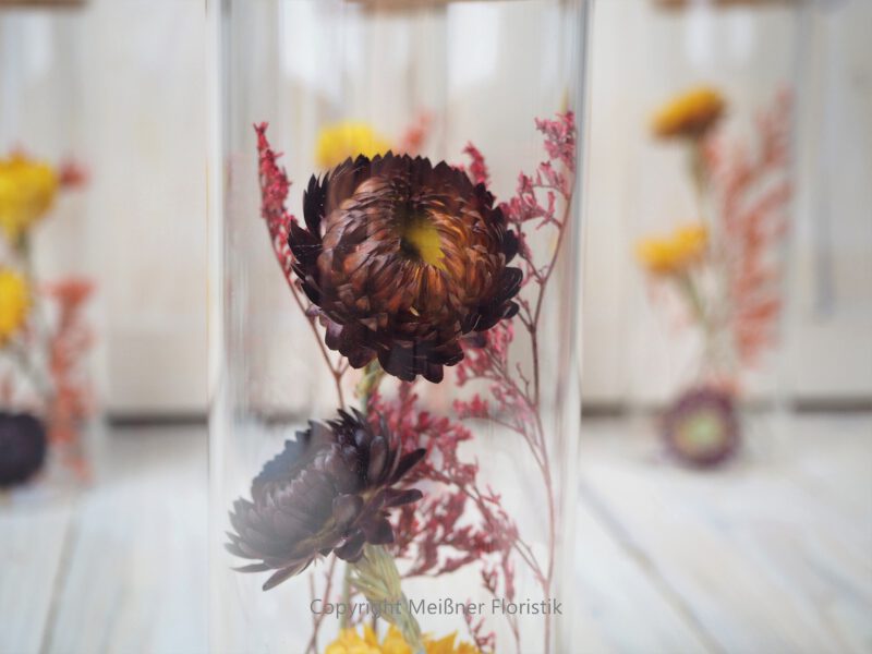 Trockenblumen gefüllte Gläser 3 er Set rot gelb Trockenblumen gefüllte Gläser 3 er Set rot gelb