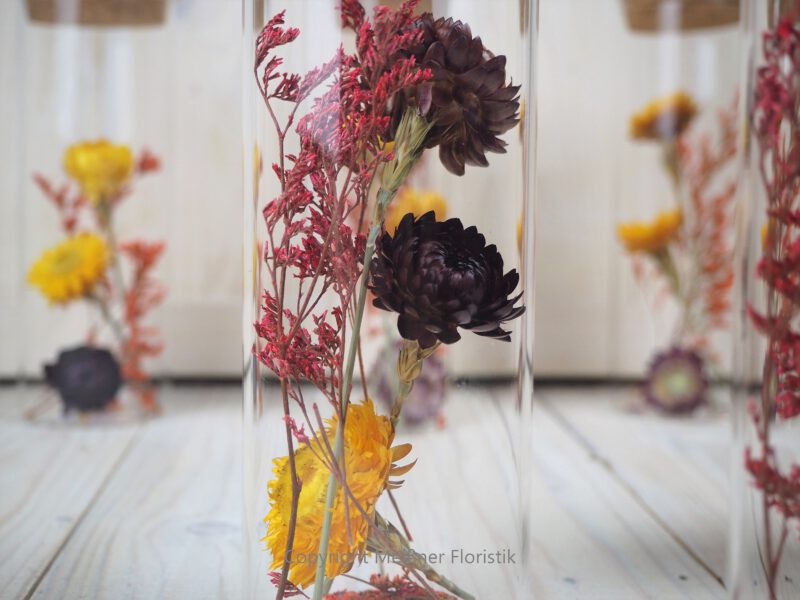 Trockenblumen gefüllte Gläser 3 er Set rot gelb Trockenblumen gefüllte Gläser 3 er Set rot gelb