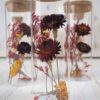 Trockenblumen gefüllte Gläser 3 er Set rot gelb Trockenblumen gefüllte Gläser 3 er Set rot gelb