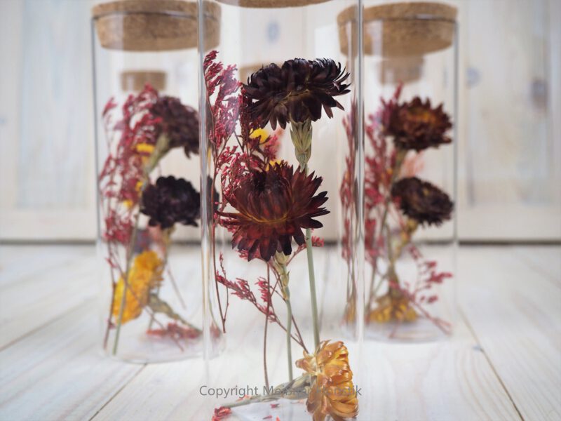 Trockenblumen gefüllte Gläser 3 er Set rot gelb Trockenblumen gefüllte Gläser 3 er Set rot gelb