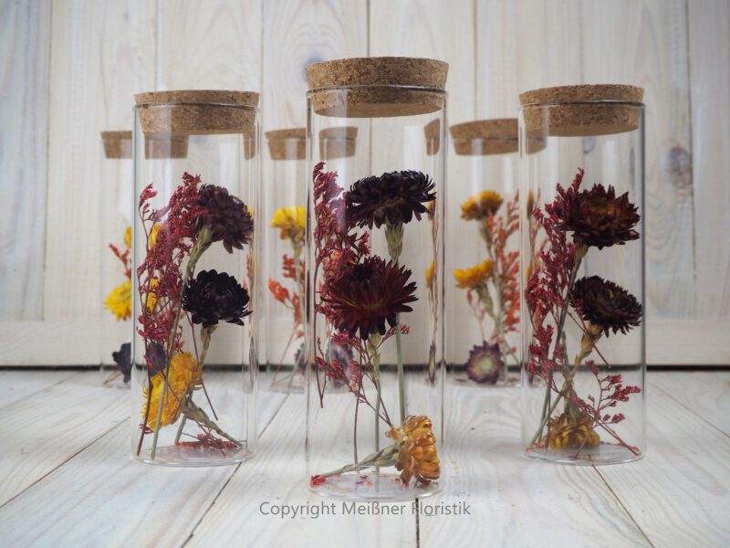Trockenblumen gefüllte Gläser 3 er Set rot gelb Trockenblumen gefüllte Gläser 3 er Set rot gelb