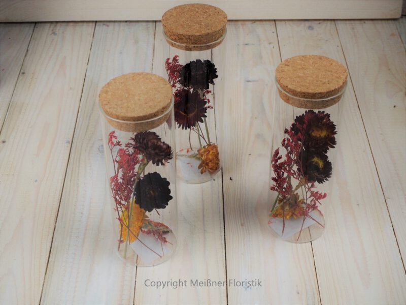 Trockenblumen gefüllte Gläser 3 er Set rot gelb Trockenblumen gefüllte Gläser 3 er Set rot gelb