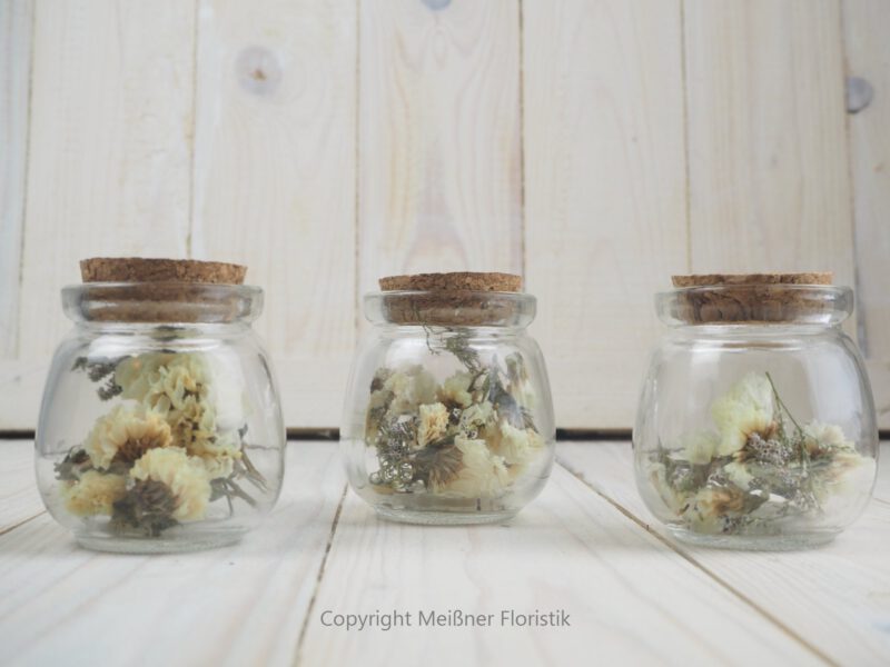 Trockenblumen gefüllte kleine Gläser 3 er Set creme weiß Trockenblumen gefüllte kleine Gläser 3 er Set creme weiß