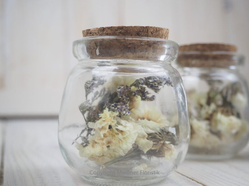 Trockenblumen gefüllte kleine Gläser 3 er Set creme weiß Trockenblumen gefüllte kleine Gläser 3 er Set creme weiß