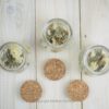 Trockenblumen gefüllte kleine Gläser 3 er Set creme weiß Trockenblumen gefüllte kleine Gläser 3 er Set creme weiß