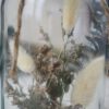 Trockenblumen gefülltes Glas weiß lila groß Trockenblumen gefülltes Glas weiß lila groß