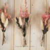 Trockenblumensträuße Set rosa peach