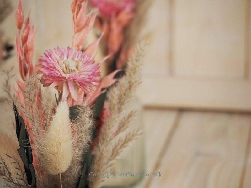 Trockenblumensträuße Set rosa peach