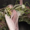 Türkranz Seidenblumen Frühling Sommer zartrosa Magnolie ca 35 cm Türkranz Seidenblumen Frühling Sommer zartrosa Magnolie ca 35 cm